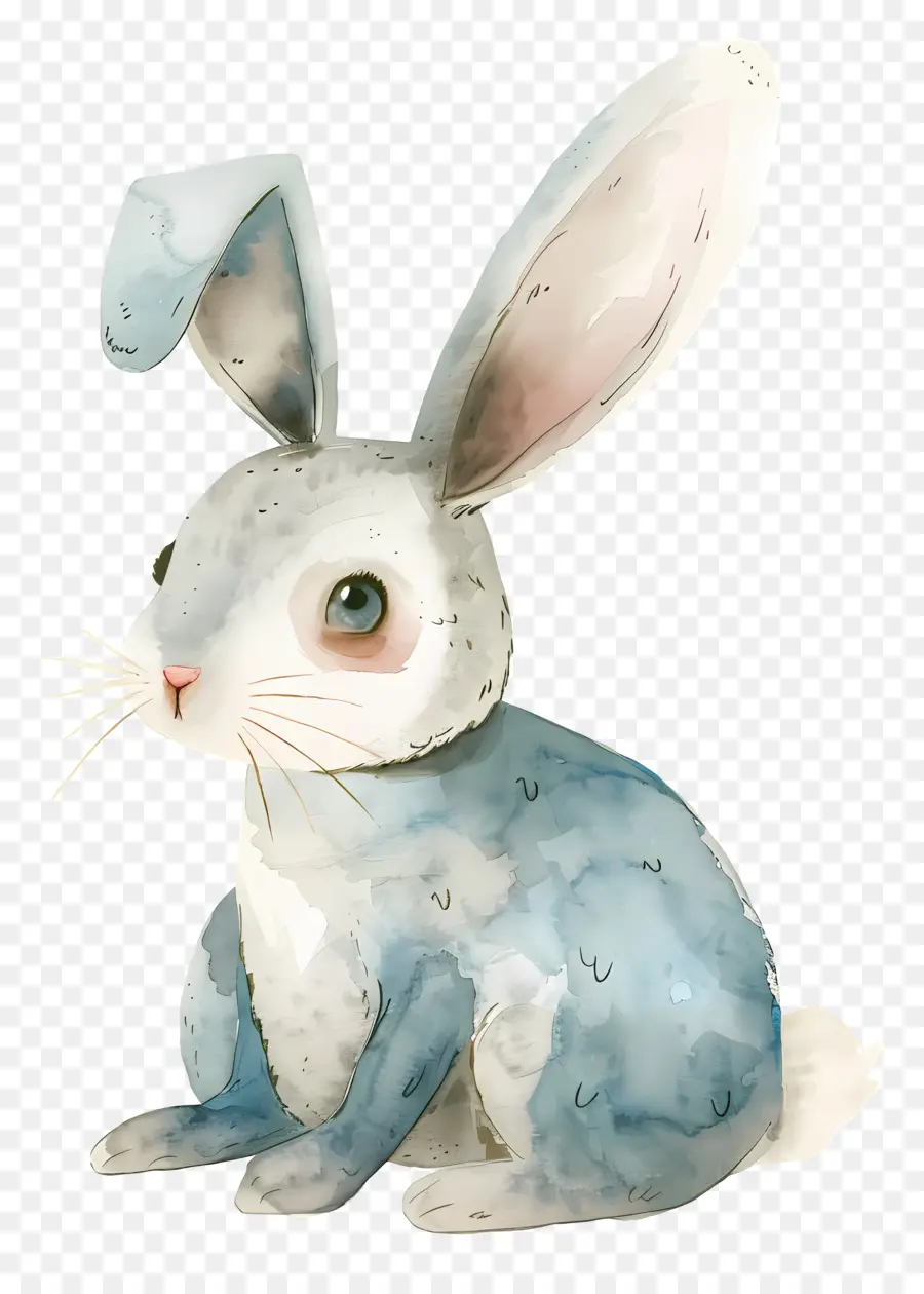 Dessin Animé Lapin，Lapin Blanc PNG