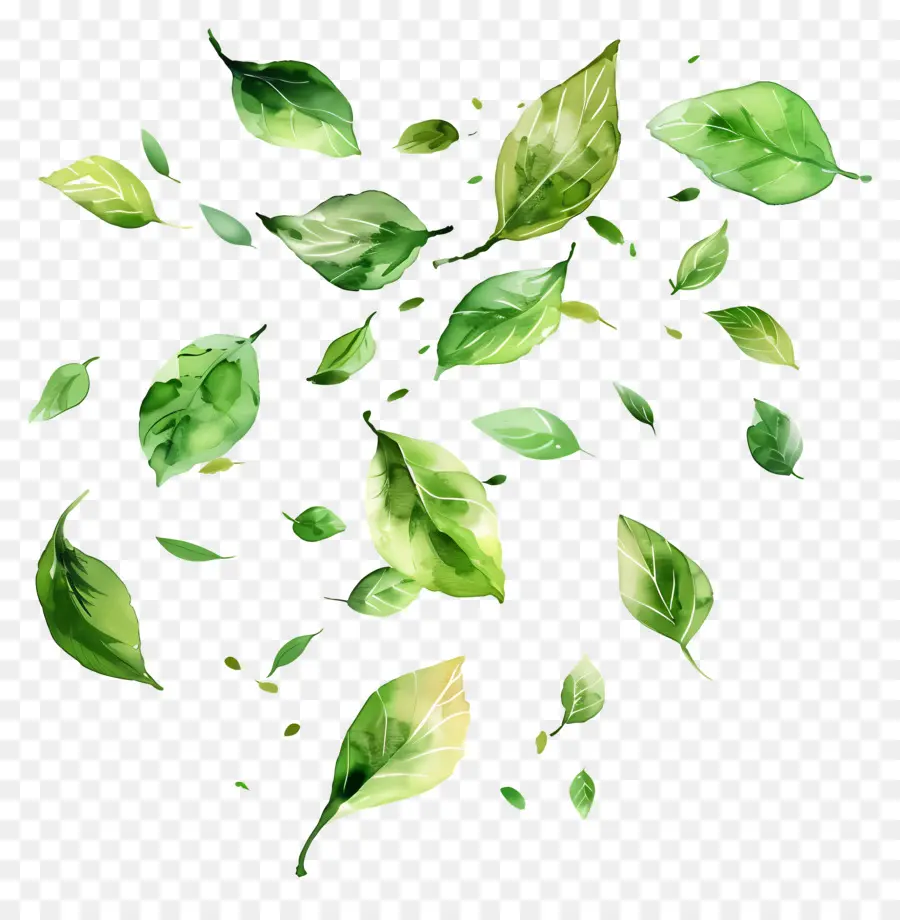 Feuilles Vertes，De Feuilles Volantes PNG