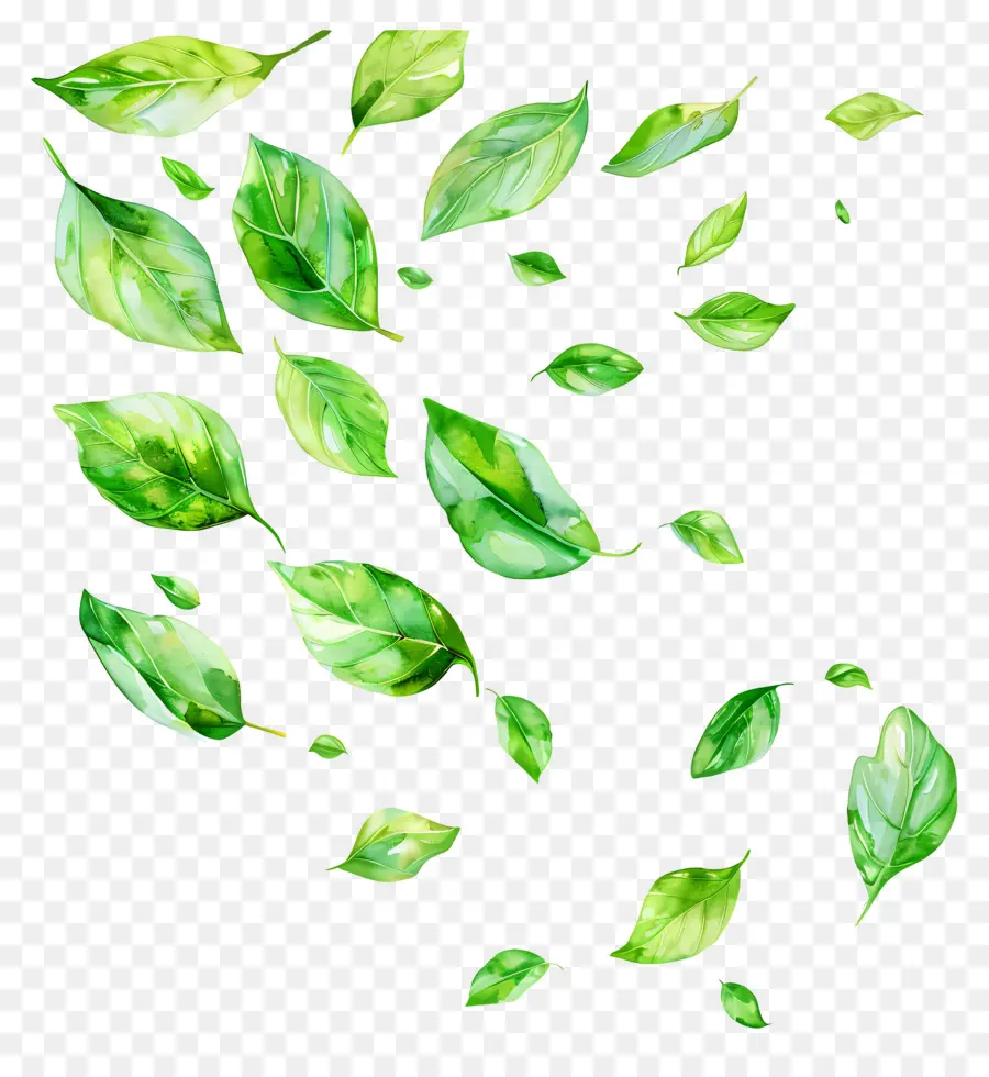 Feuilles Vertes，De Feuilles Volantes PNG