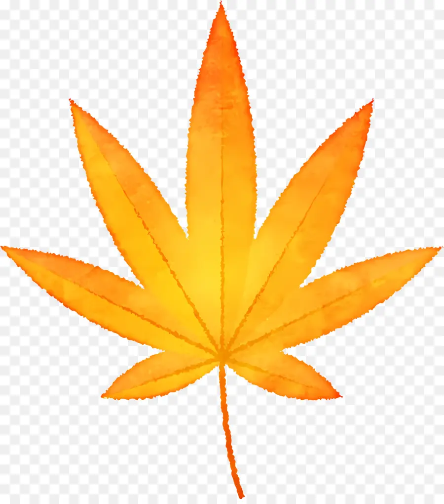 Feuilles D'automne，La Marijuana PNG