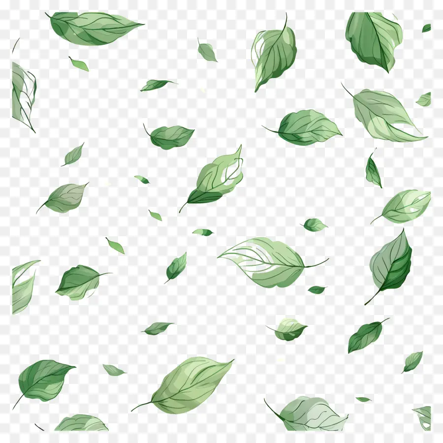 Feuilles Vertes，Feuilles PNG