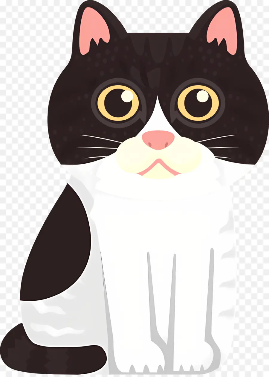 Chat De Dessin Animé，Chat PNG