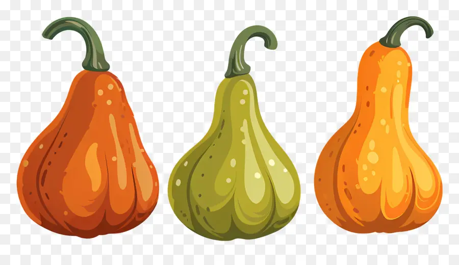 Les Gourdes，Citrouilles PNG