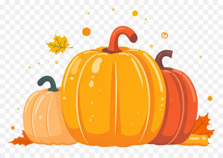 Pumpkins De Thanksgiving，Citrouilles PNG