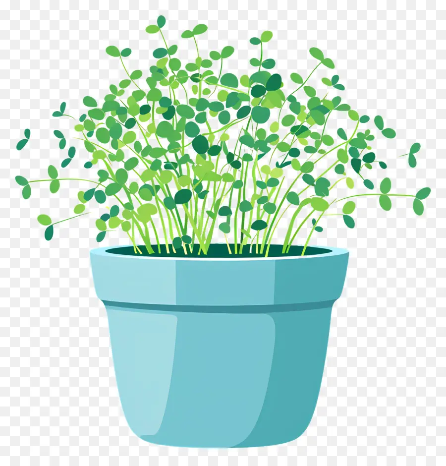 Pot De Micropousses，Plante En Pot PNG