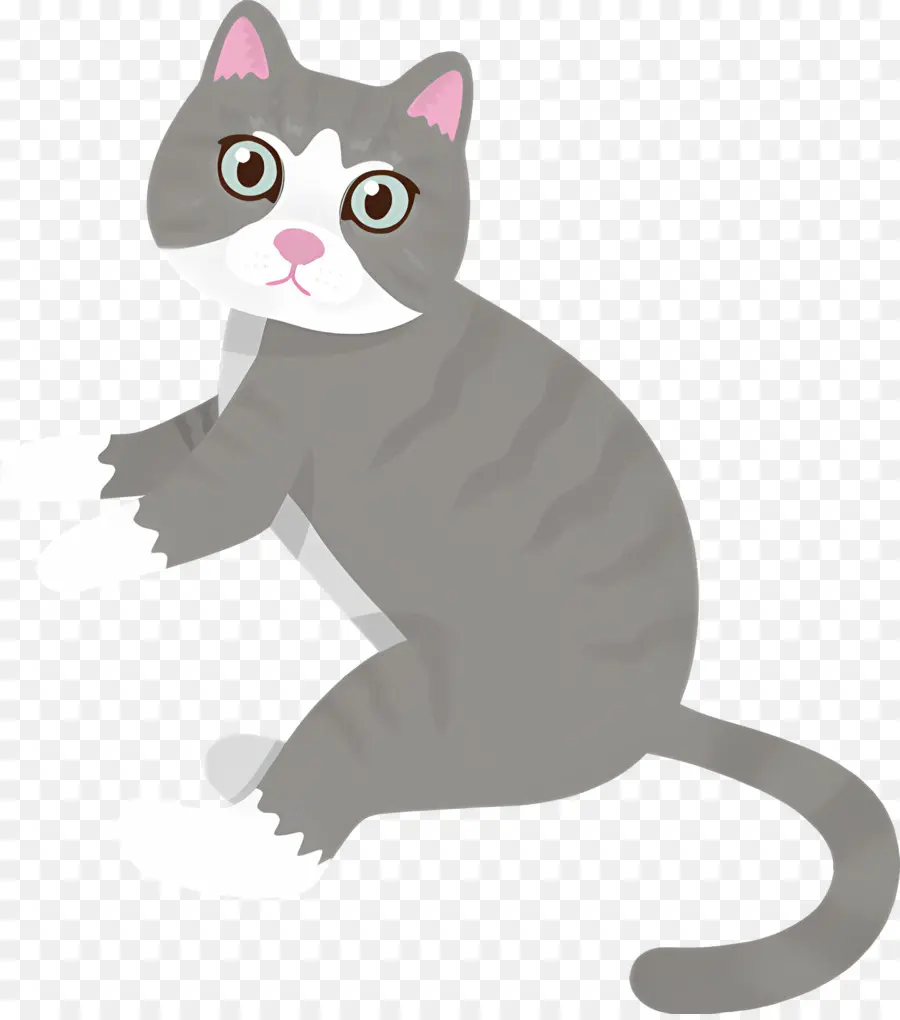 Chat De Dessin Animé，Chat PNG