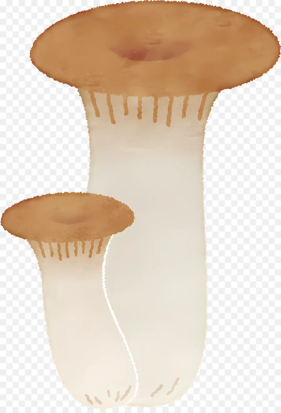 Champignons，Aquarelle PNG