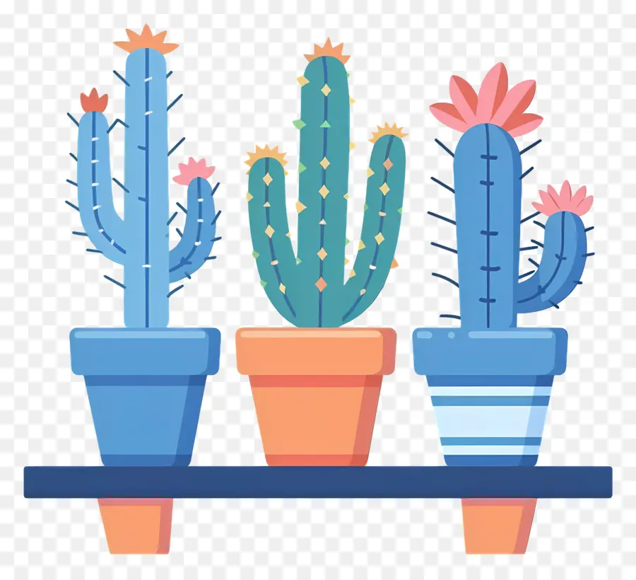 Cactus En Pot，Cactus PNG