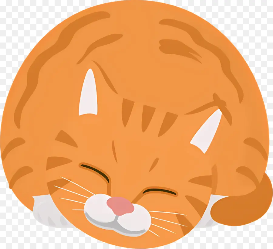 Chat De Dessin Animé，Chat Orange PNG