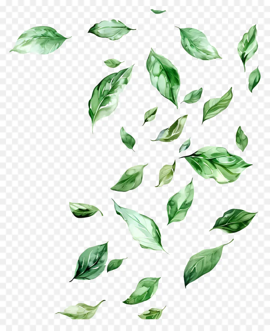 Feuilles Vertes，De Feuilles Volantes PNG