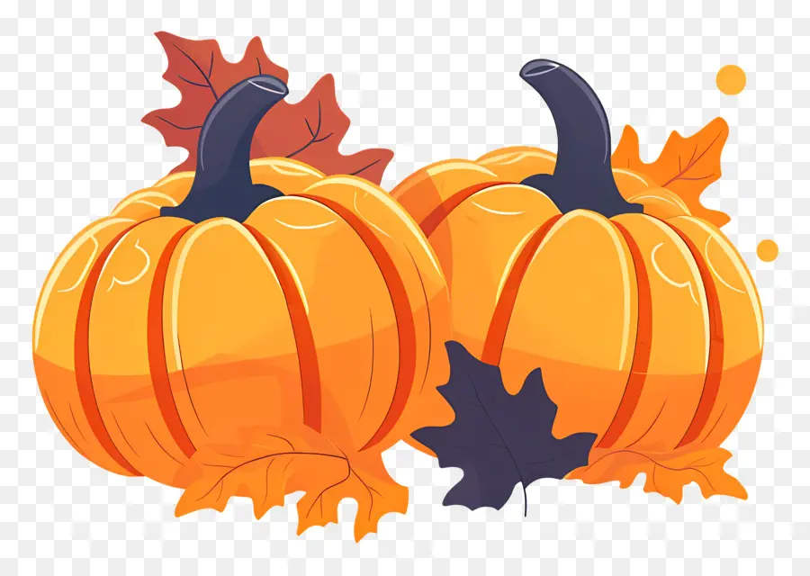 Pumpkins De Thanksgiving，Citrouilles PNG