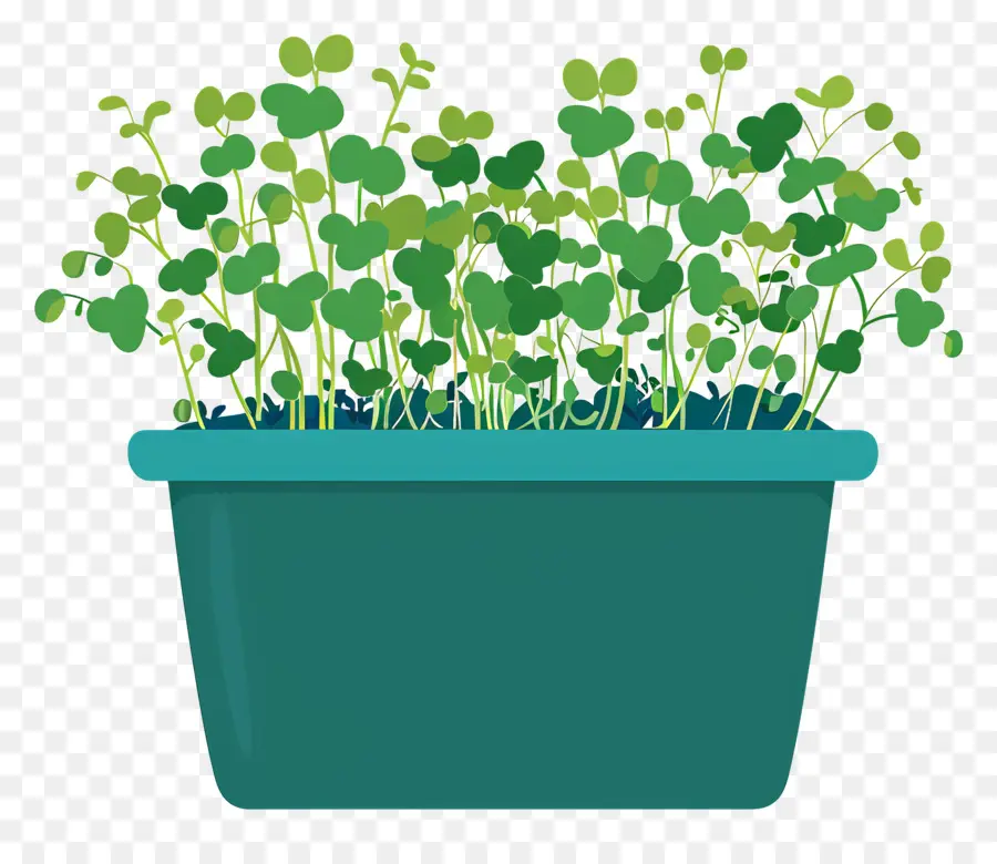 Pot De Micro Verts，Petit Pot En Céramique Bleu PNG