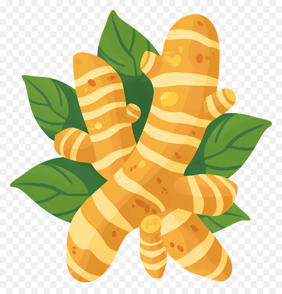 Gingembre Frais，Racine De Curcuma PNG