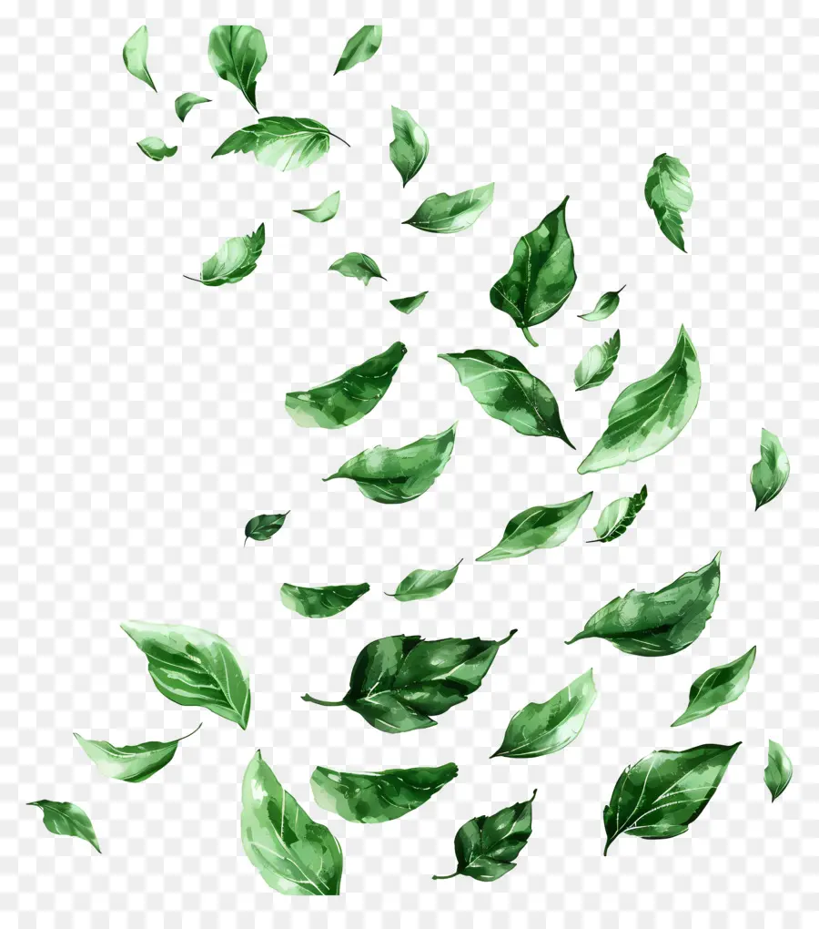 Feuilles Vertes，De Feuilles Volantes PNG