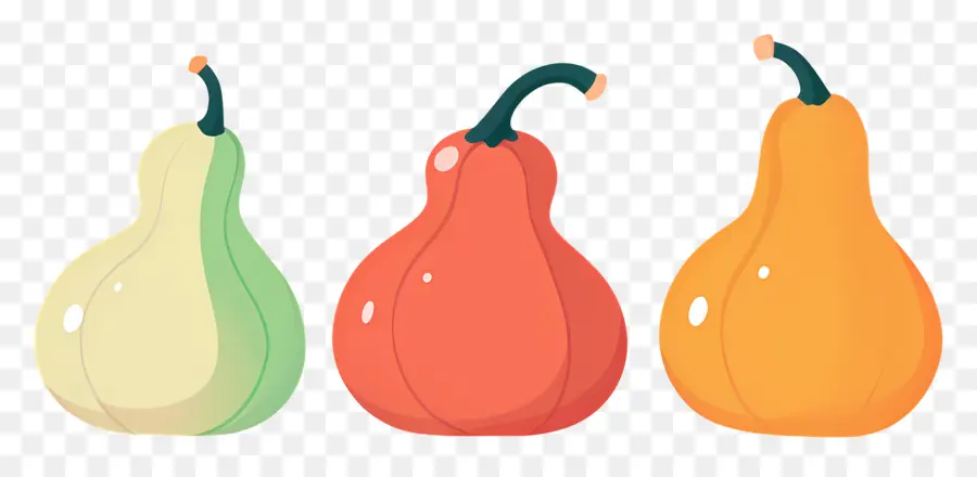 Les Gourdes，Les Couleurs PNG