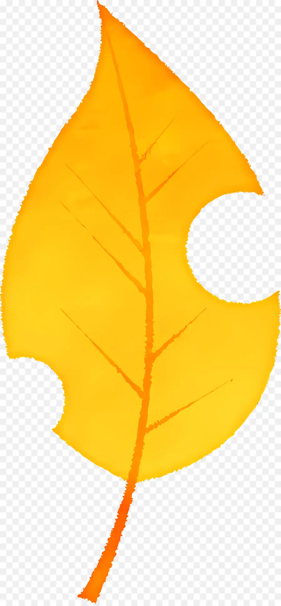 Feuilles D'automne，Le Golden Leaf PNG