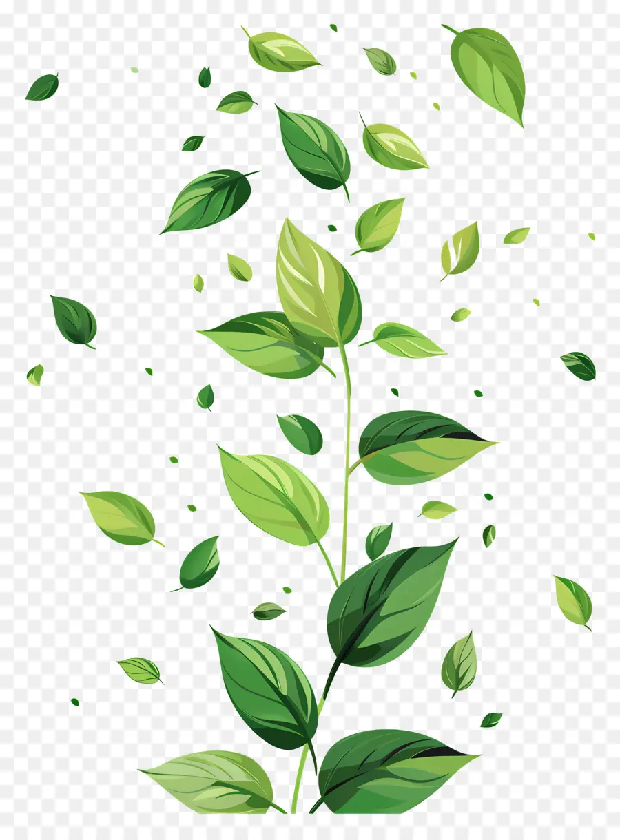 Feuilles Vertes，De Feuilles Volantes PNG