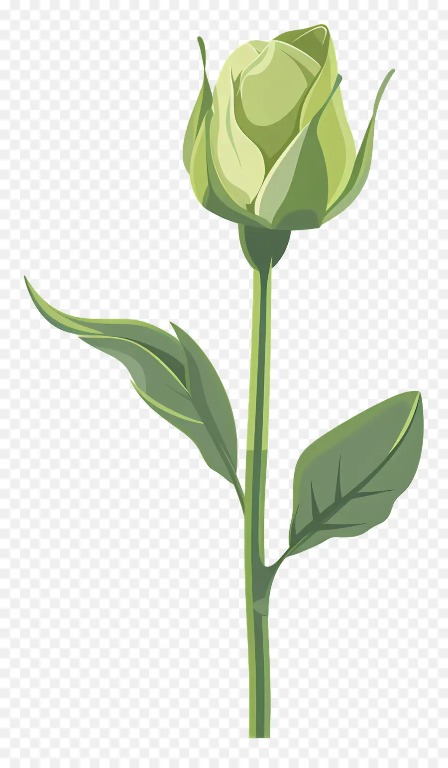 Rose Verte，Fleur Unique PNG