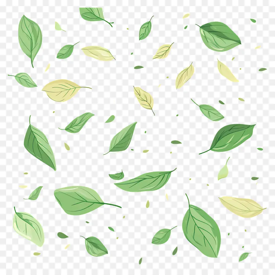 Feuilles Vertes，De Feuilles Volantes PNG