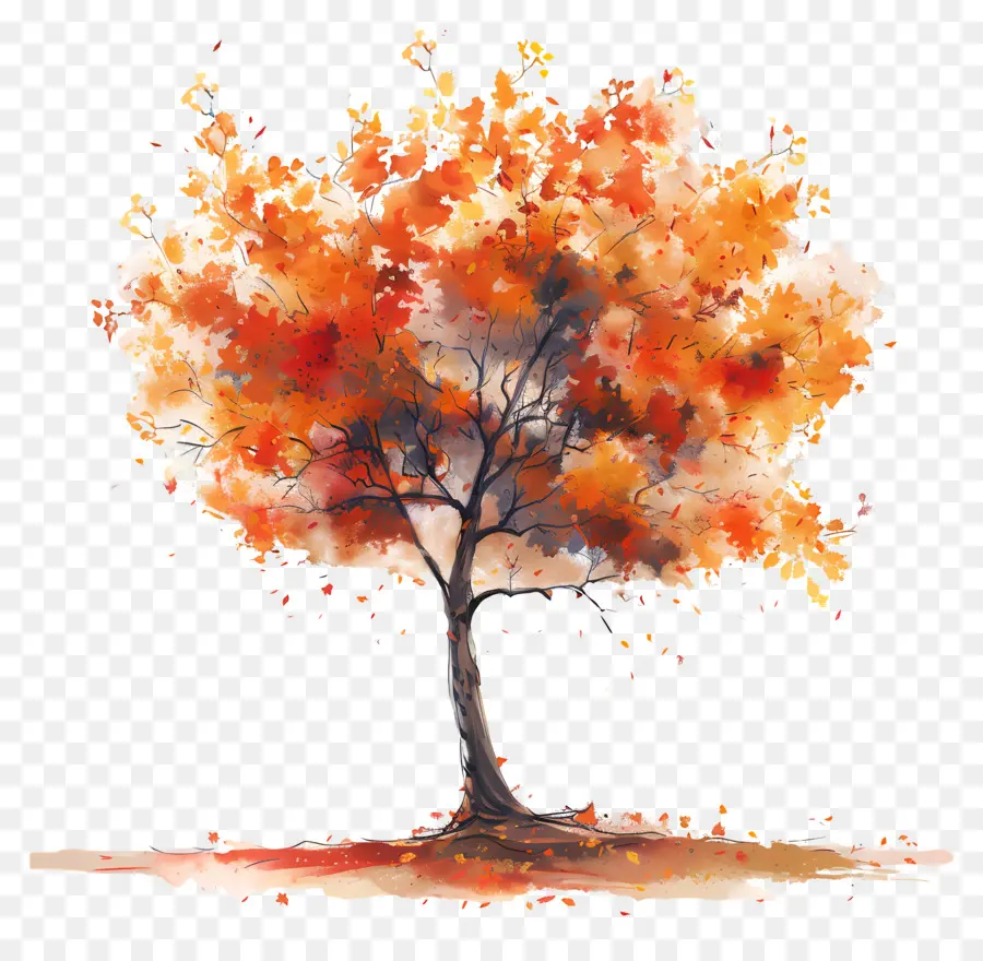 Automne, Arbre，Arbre PNG