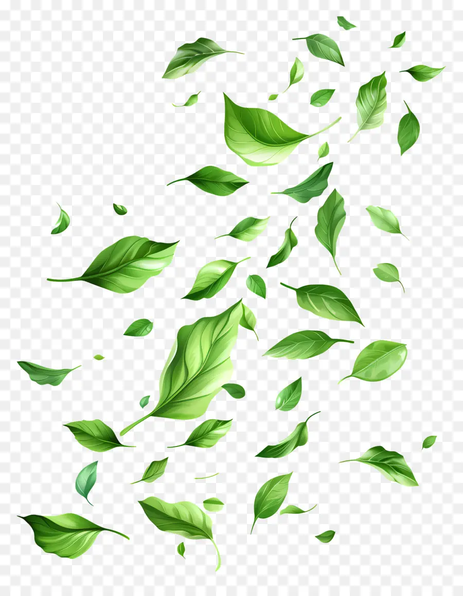 Feuilles Vertes，De Feuilles Volantes PNG