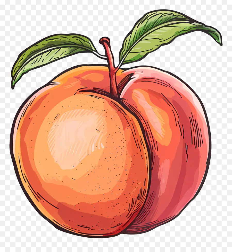 Nectarine，Pêche PNG