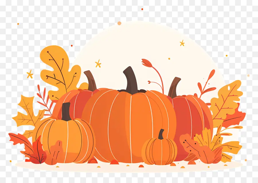 Pumpkins De Thanksgiving，Citrouilles PNG