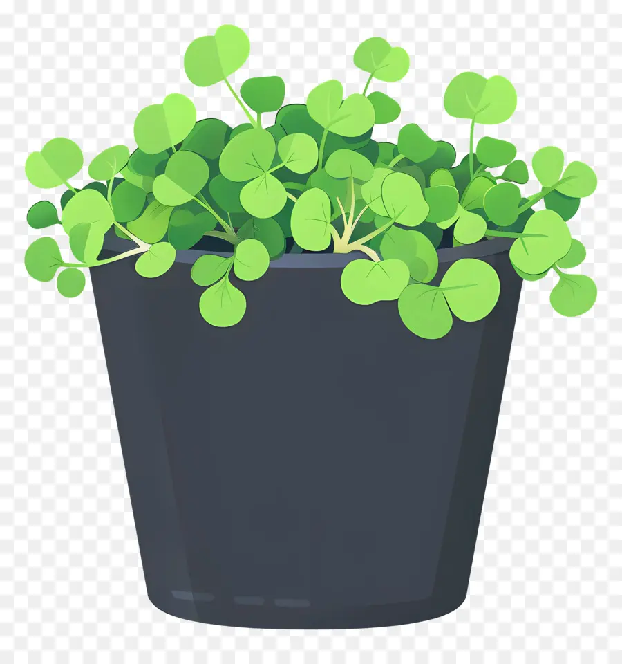 Pot De Micropousses，Plante En Pot PNG