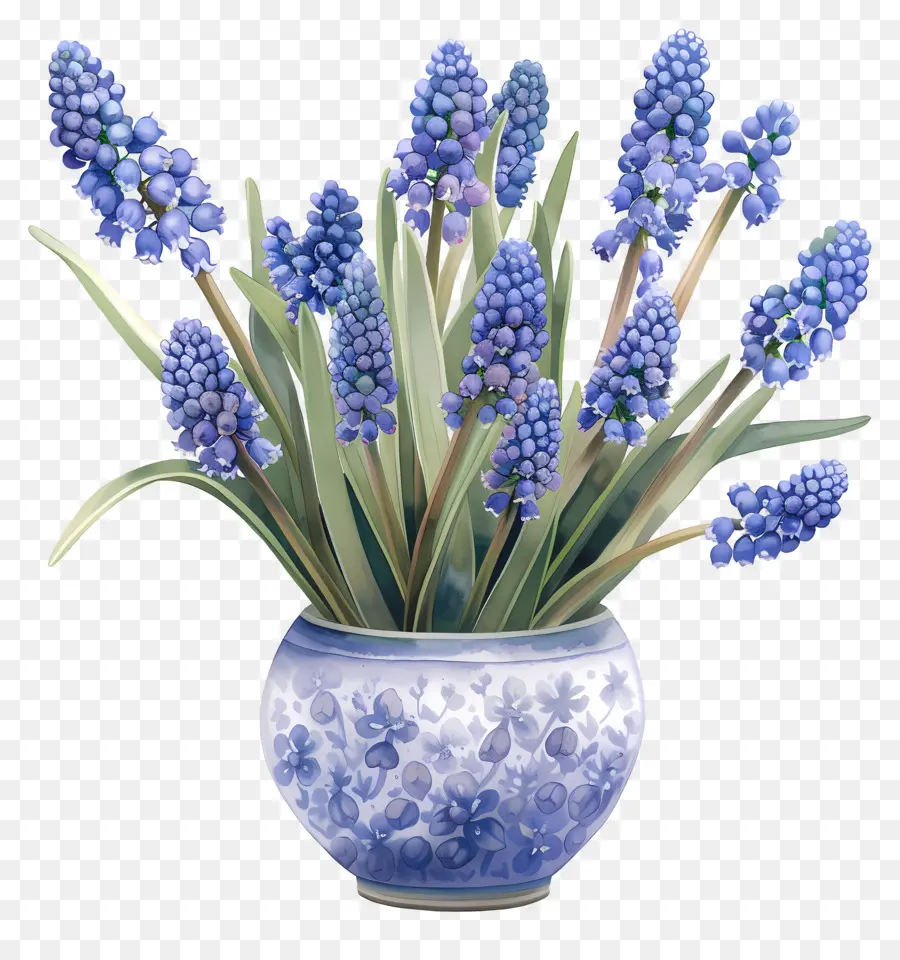 De Raisin De La Jacinthe，Fleurs Bleues PNG