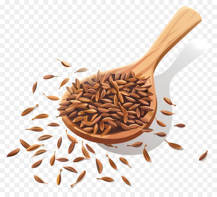 Graines De Cumin，Grains De Poivre Noir PNG