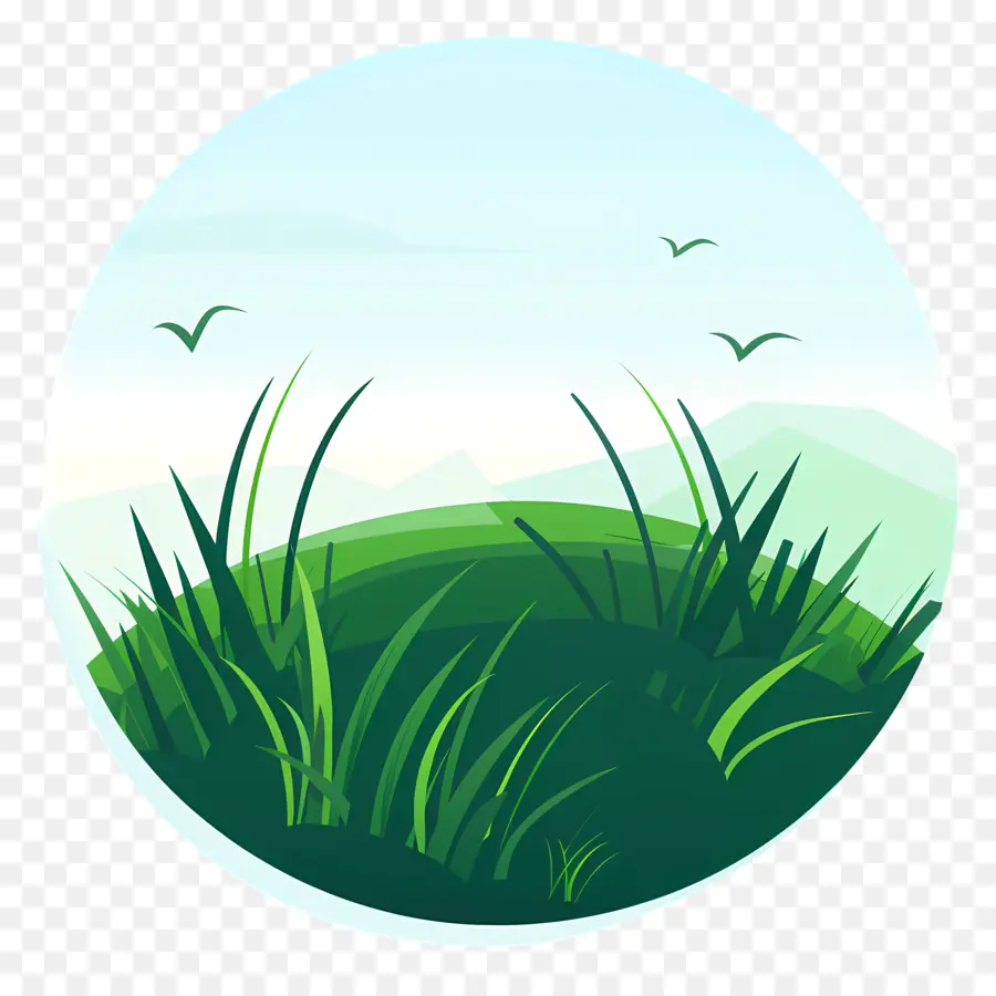 L'herbe Patch，Prairie PNG