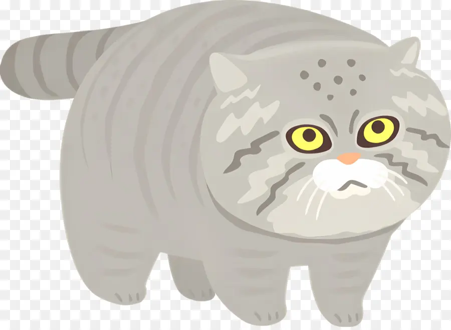 Chat De Dessin Animé，Chat Gris PNG