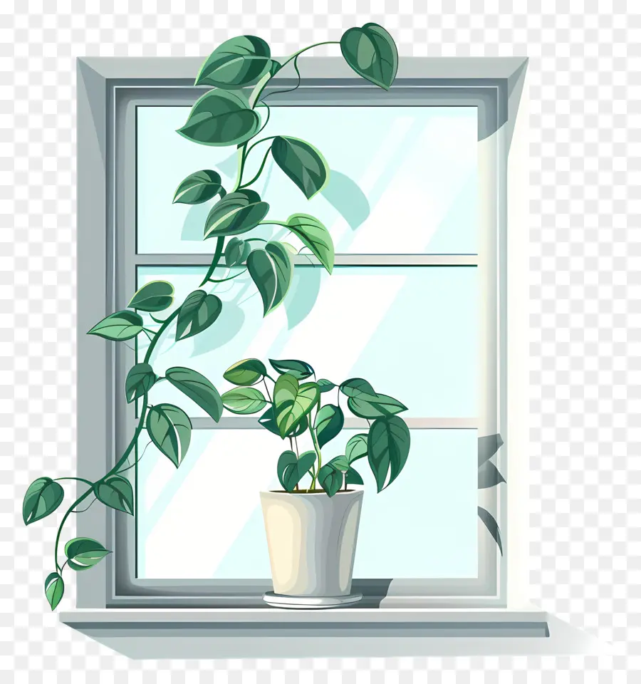 Fenêtre，Plante PNG