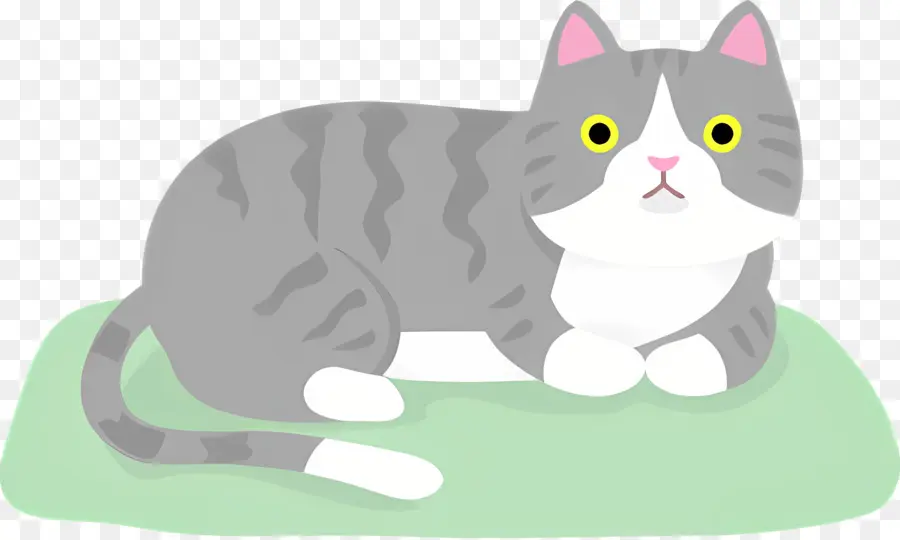 Chat De Dessin Animé，Chat Gris Et Blanc PNG