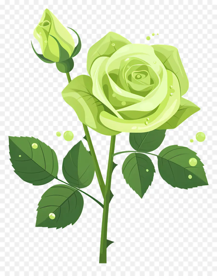 Rose Verte，Des Gouttelettes D'eau PNG