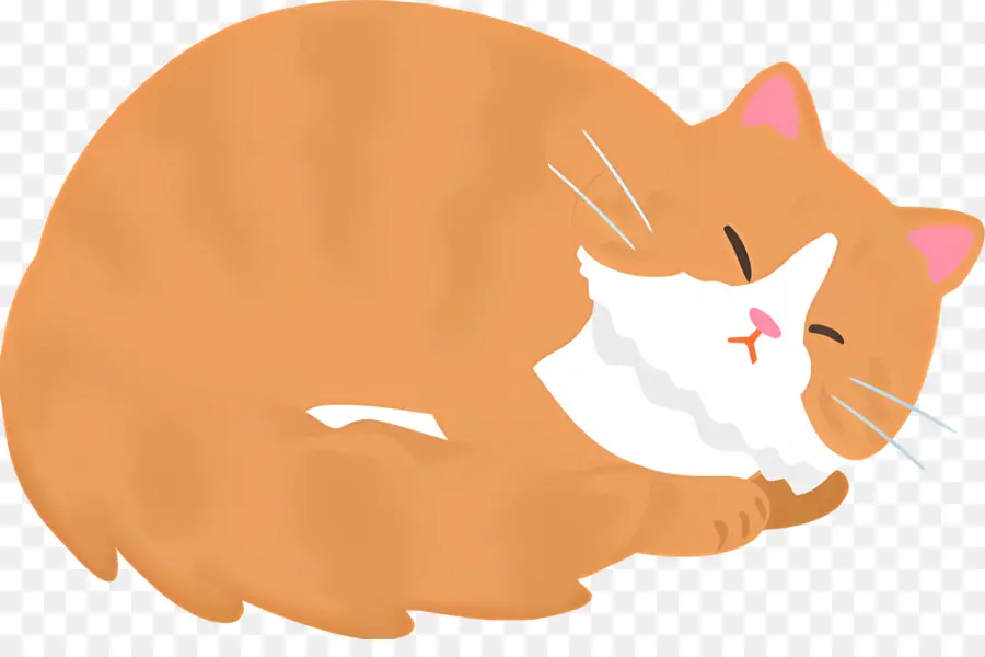 Chat De Dessin Animé，Chat PNG