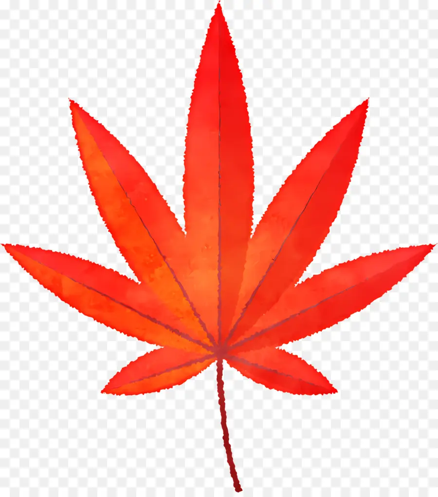 Feuilles D'automne，Marıjuana Feuille PNG