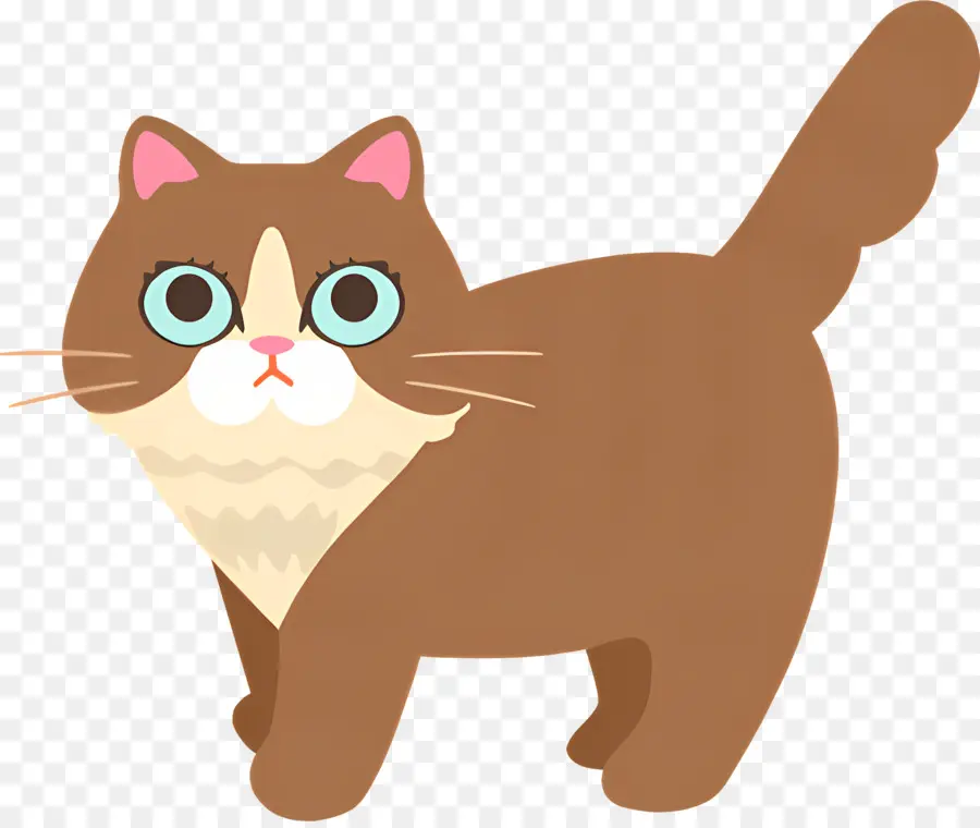 Chat De Dessin Animé，De Grands Yeux PNG