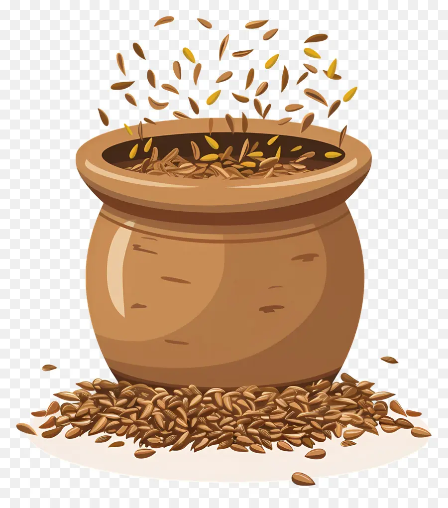 Graines De Cumin，Graines De Blé PNG