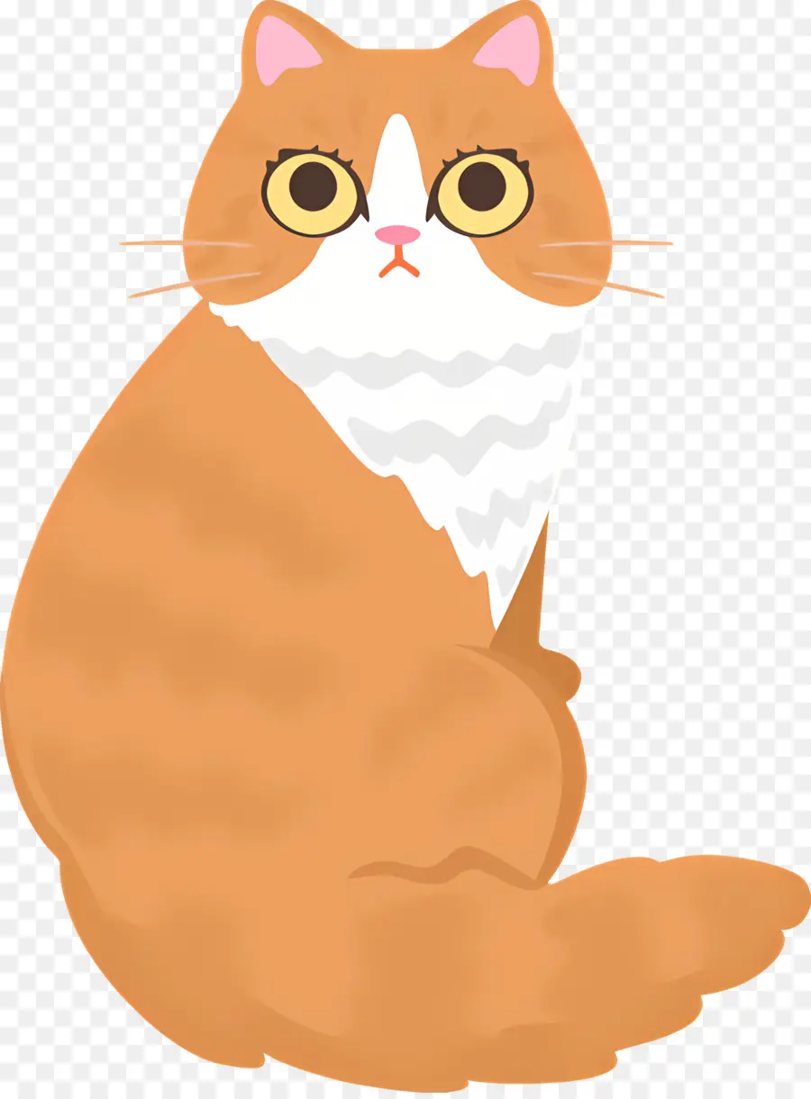 Chat De Dessin Animé，Chat PNG