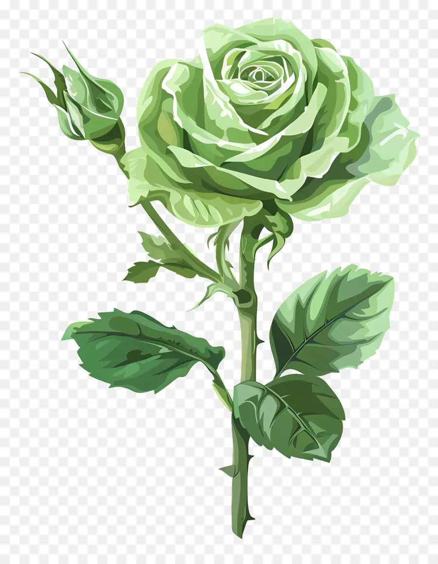 Rose Verte，Fleur PNG