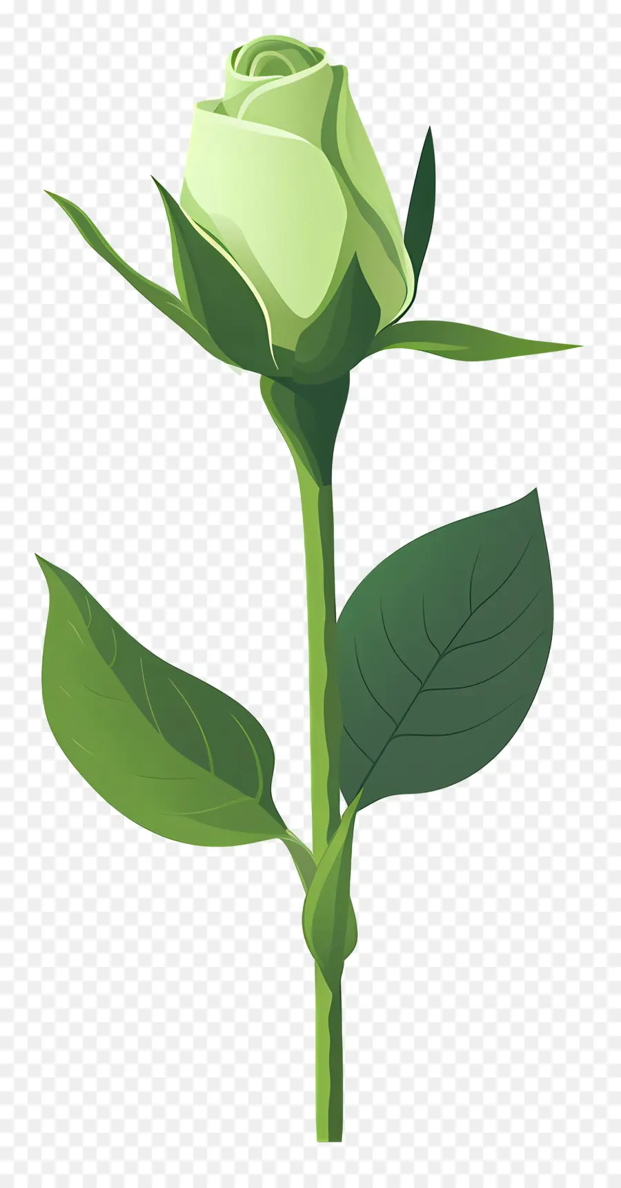 Rose Verte，Fleur PNG