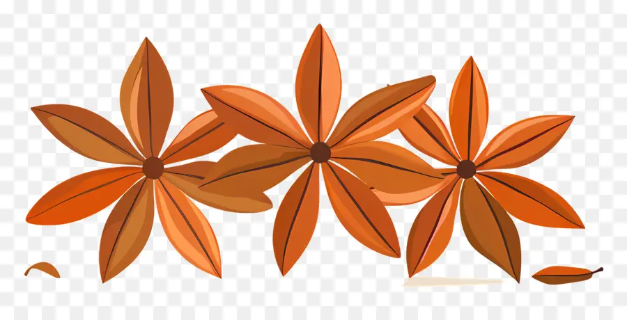 L'anis étoilé，Feuilles PNG