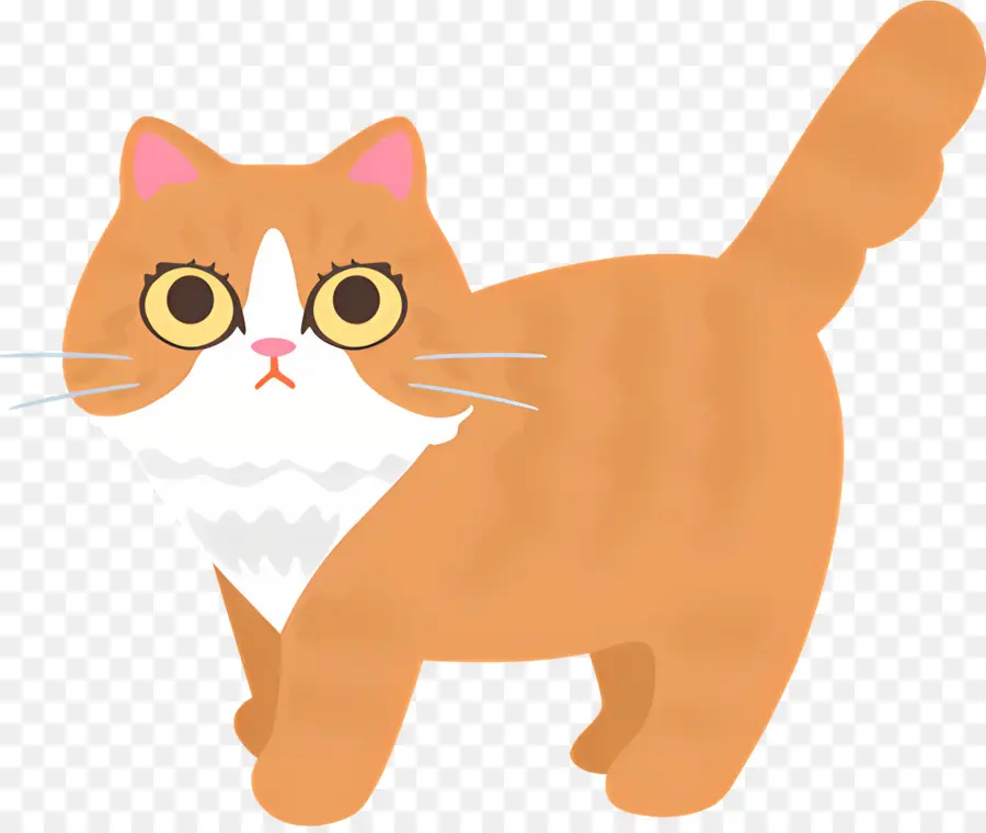 Chat De Dessin Animé，Surpris Expression PNG