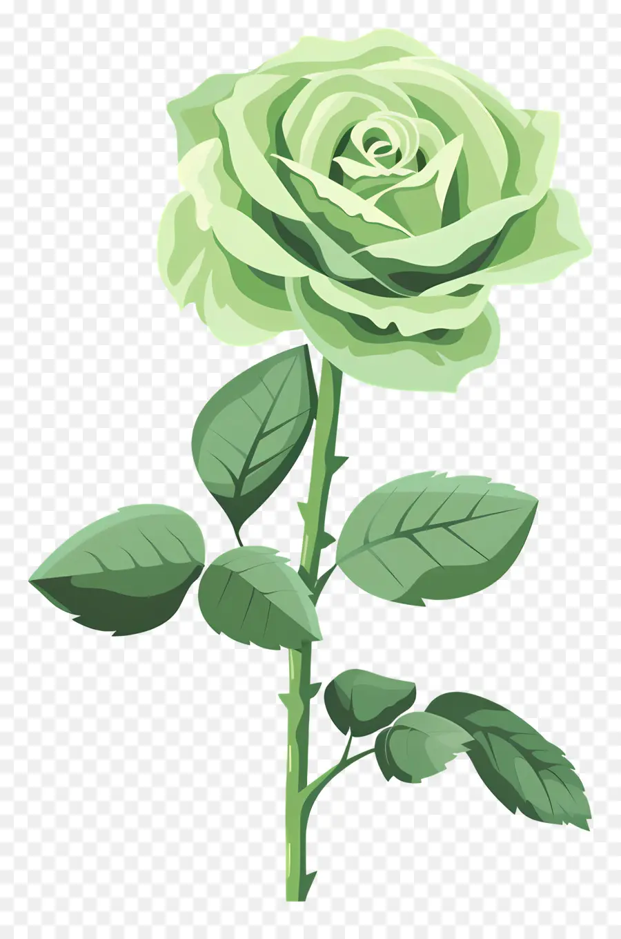 Rose Verte，Dessin PNG