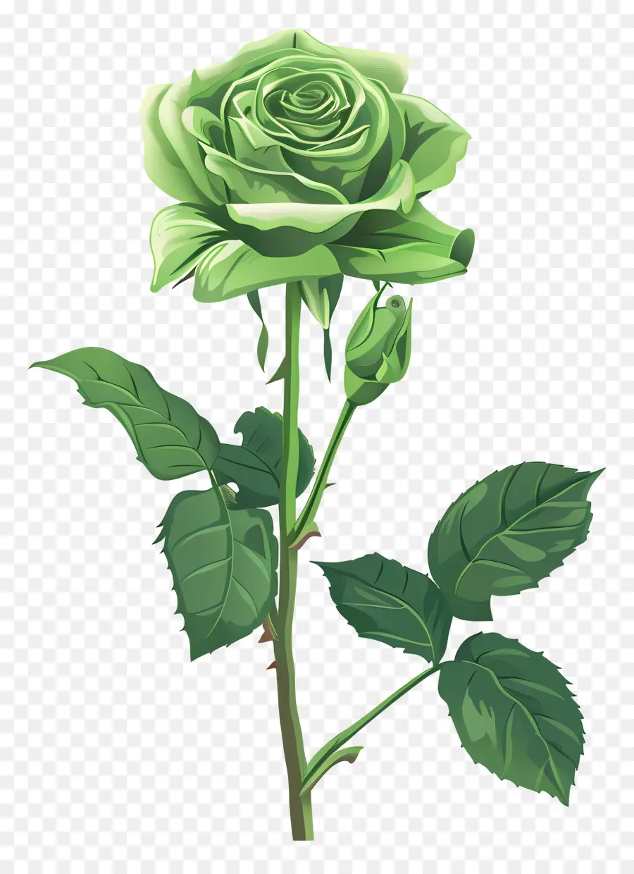 Rose Verte，Des Pétales De Rose PNG