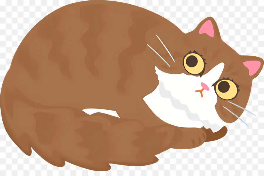 Chat De Dessin Animé，Rayé Chat PNG