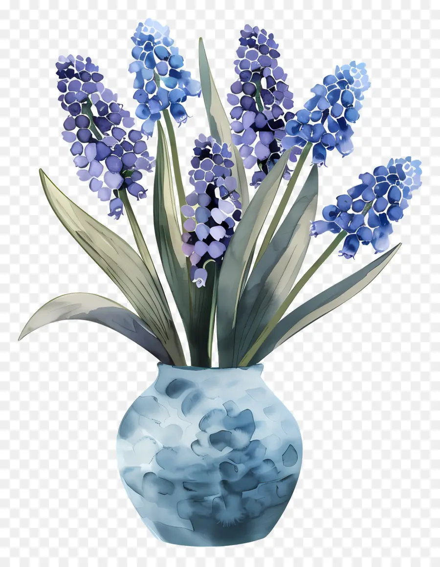 De Raisin De La Jacinthe，Fleurs Bleues PNG