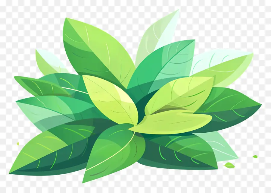 Feuille De Laurier，Plante En Pot PNG