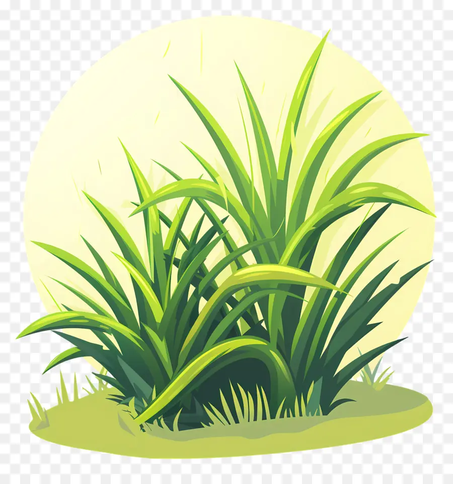 L'herbe Patch，Plantes Vertes PNG